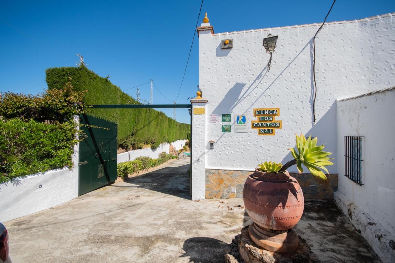 Tu Villa Rural Cortijo Los Cantos 7 Dormitorios Piscina Privada Alhaurín el Grande Εξωτερικό φωτογραφία