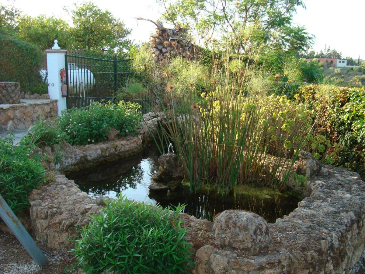 Tu Villa Rural Cortijo Los Cantos 7 Dormitorios Piscina Privada Alhaurín el Grande Εξωτερικό φωτογραφία